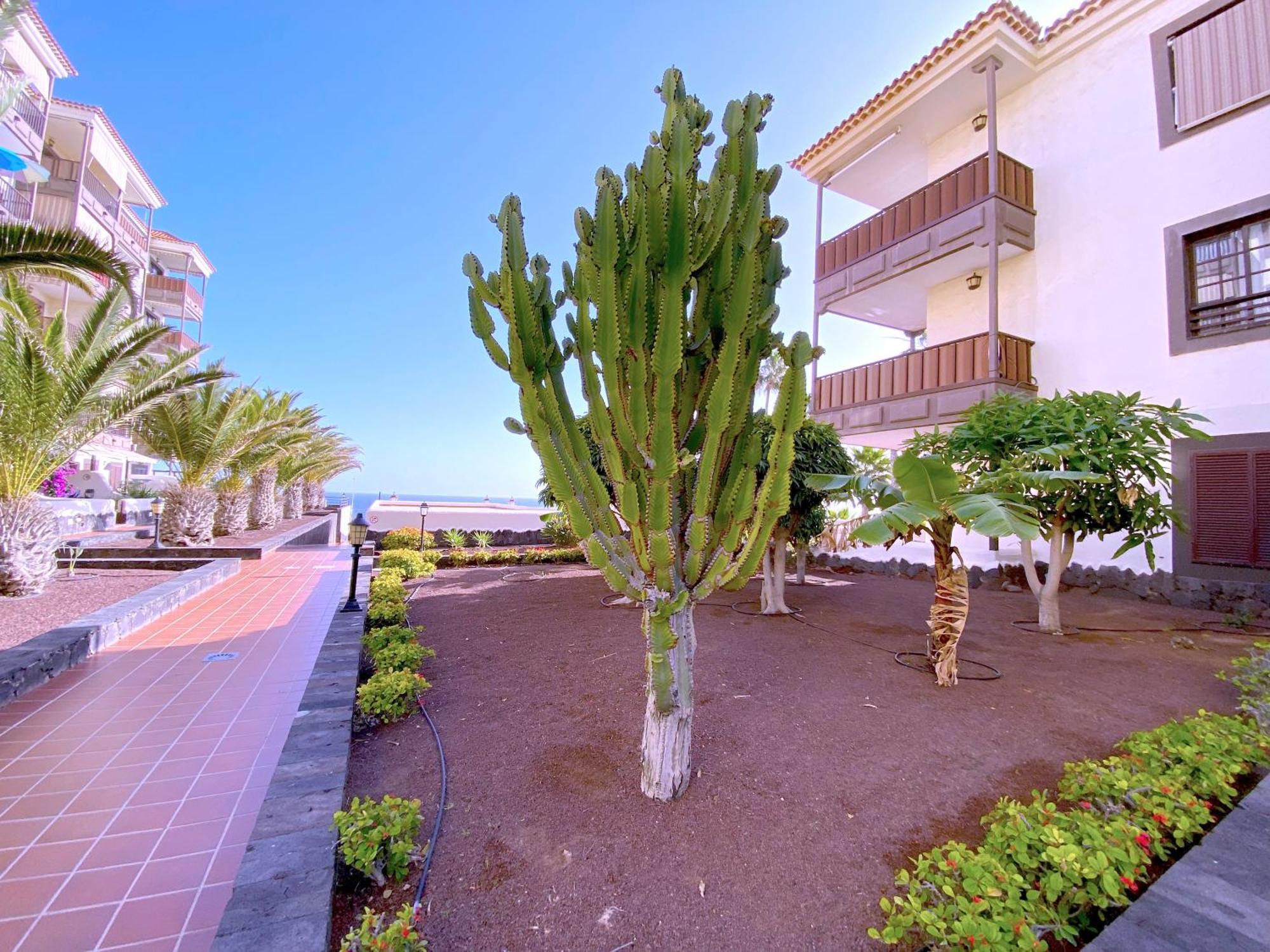 코스타델실렌시오 Tropicalidays Costa Mar 아파트 외부 사진